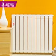 哪个系统适合中国散热器十大品牌?
