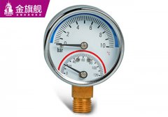 暖气片配件-温度压力表s