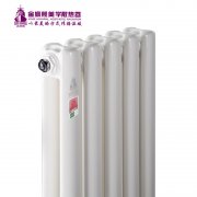 金旗舰:青年房安装暖气片应注意什么?