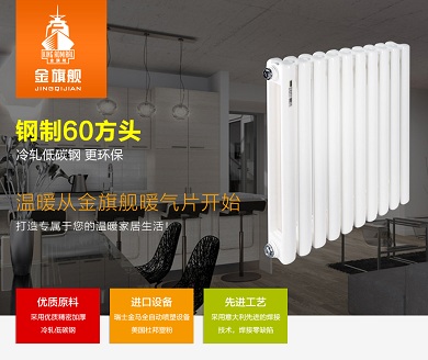 低碳钢暖气片