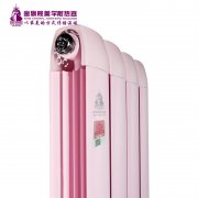 十大铜铝暖气片品牌应当怎么维护?