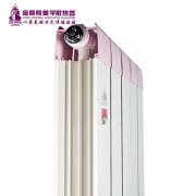 北京暖气片十大名牌选择和购买暖气的正确方法
